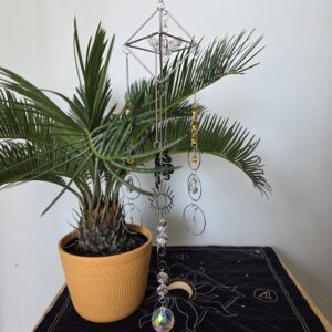 Papillon d’Outre-Vie